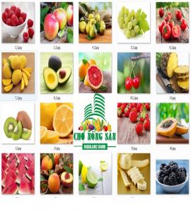 20 loại trái cây trị bệnh hữu ích trong mùa hè